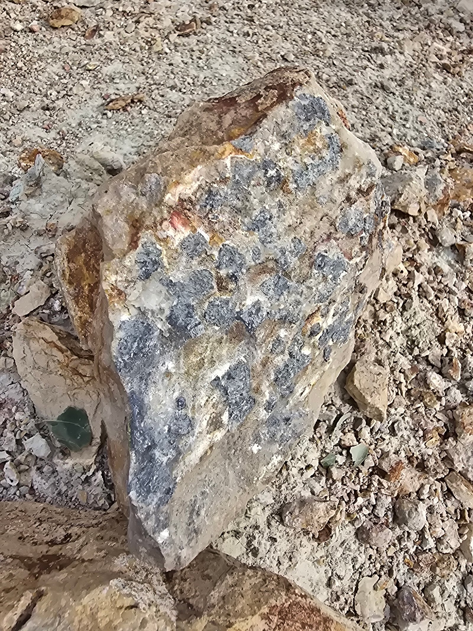 ⁠Geology & fieldwork